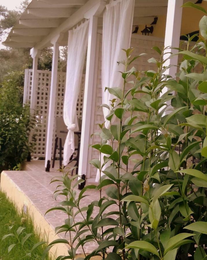 Villa Ladina Λυγιά Εξωτερικό φωτογραφία